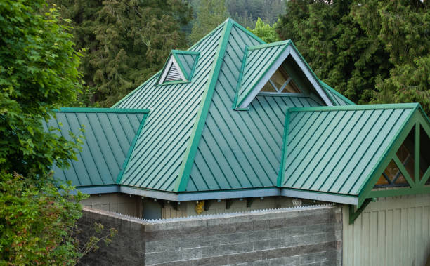 Best Roof Insulation Installation  in Placerville, CA