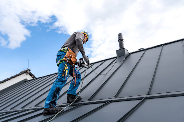 Best Solar Panel Roofing Installation  in Placerville, CA
