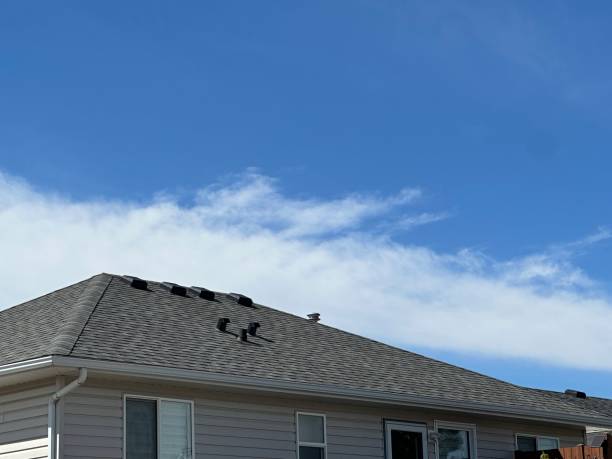 Best Asphalt Shingle Roofing  in Placerville, CA